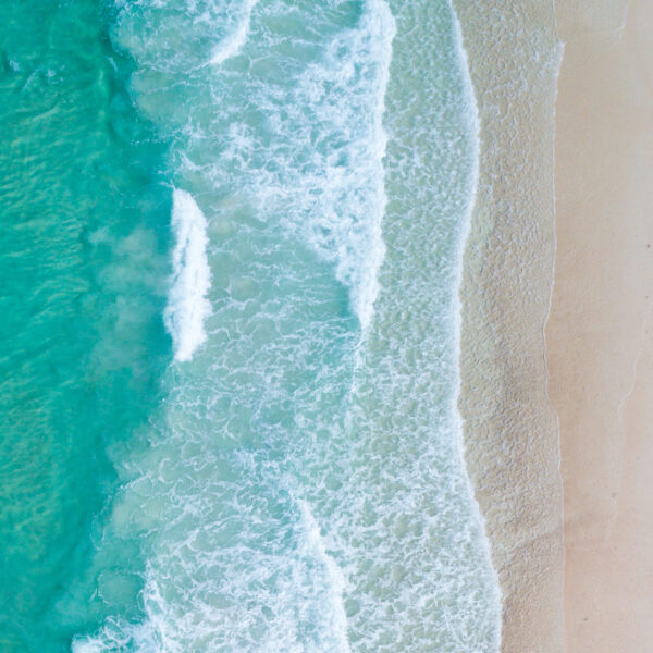 COVID-19: What are the safe harbour laws in Australia?